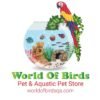 World Of Birds