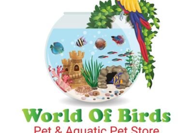 World Of Birds
